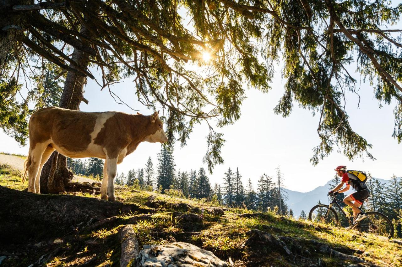 Pension Bergblick Ruhpolding Exterior foto